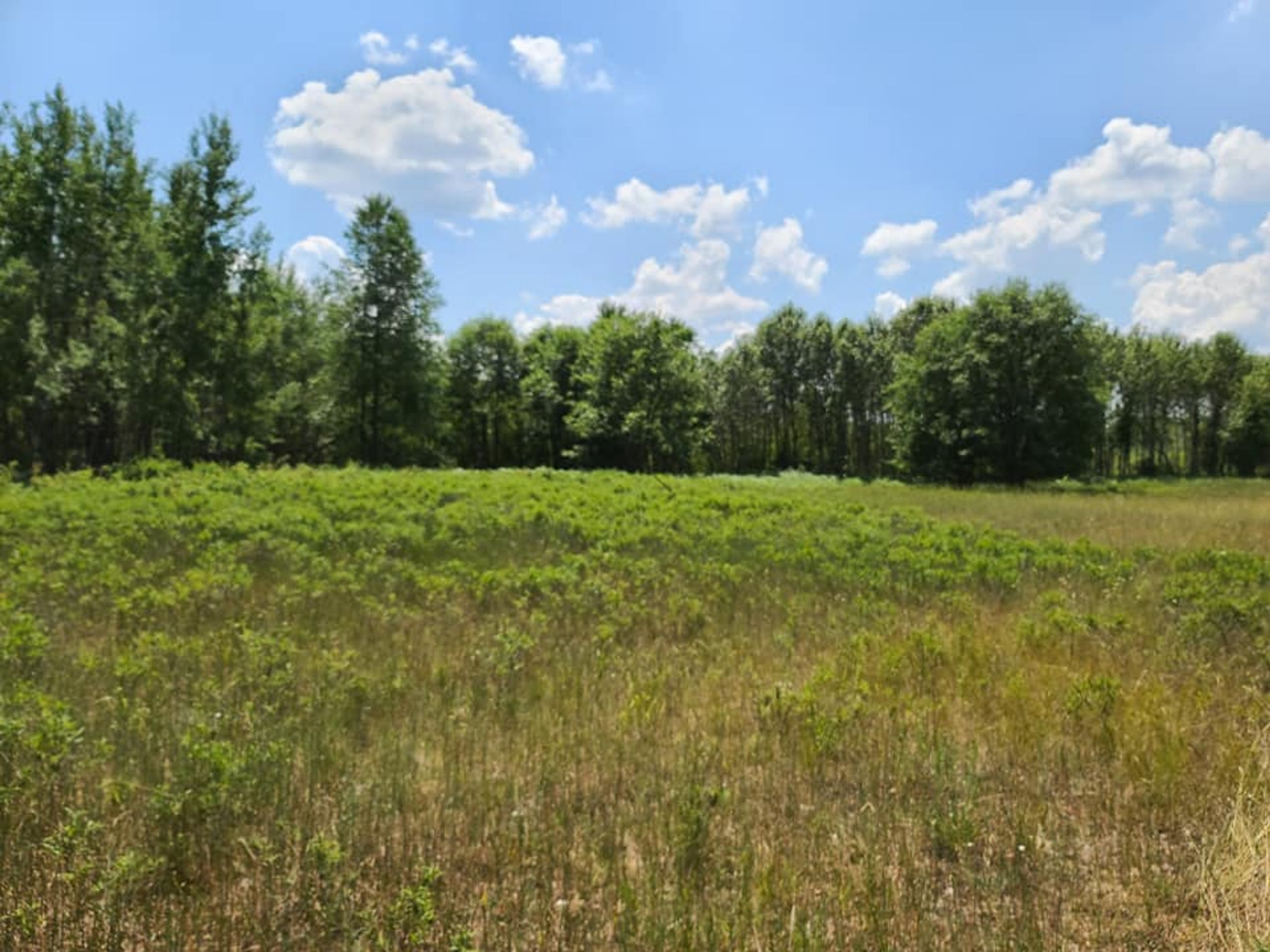 Parking, Garages And Car Spaces For Rent 20 x 20 Unpaved Lot 414138